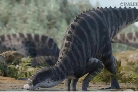 Khai quật loài khủng long mỏ vịt chưa từng thấy