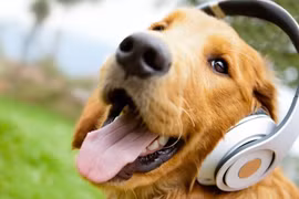 Bất ngờ những sự thật khoa học thú vị có thể bạn chưa biết