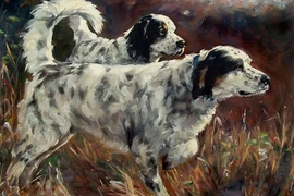 2 tháng tới: 3 tuổi tiền vào như nước, trúng số tiền tỷ đổi đời