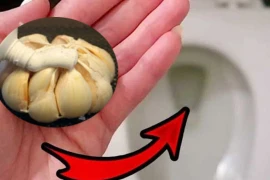 Bồn cầu bốc mùi hôi, bàn bếp bắn dầu mỡ làm sạch trong phút mốt 