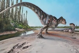 Dấu chân khủng bên bờ biển tiết lộ sự thật về “quái vật kỷ Jura”