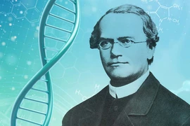 Khai quật hài cốt “cha đẻ” ngành di truyền học Mendel, bất ngờ sự thật