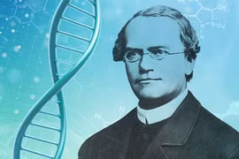 Khai quật hài cốt “cha đẻ” ngành di truyền học Mendel, bất ngờ sự thật