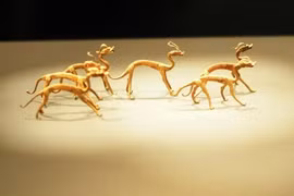 Công nhân đào trúng “rồng vàng”, cảnh sát lập tức phong tỏa khu vực