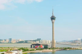 Tử vong sau khi chơi trò nhảy bungee cao nhất thế giới