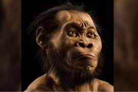 Phát hiện giống người cổ đại biết chạm khắc biểu tượng