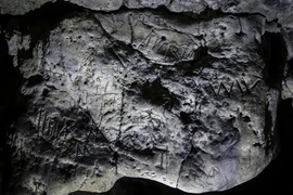 Phát hiện “bộ sưu tập phù thủy” khổng lồ trong hang động Kỷ băng hà