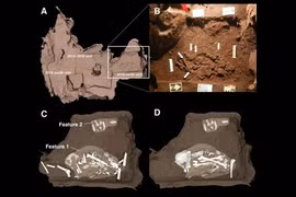 Khai quật mộ cổ, giật mình khi phát hiện hài cốt “loài người ma" 