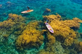 Khám phá “thiên đường biển đảo” Bình Định