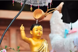 Lễ Phật Đản 2023: Việc nên làm để gia tăng phước báu