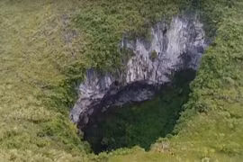 Sững sờ với hệ động, thực vật bên trong hố sụt sâu nhất thế giới