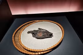 Vào mộ cổ trộm cá khô, thợ điện ngã quỵ khi thấy thứ này...