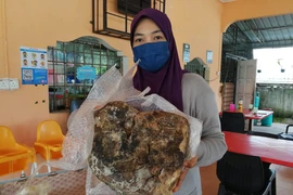 Nhặt vật thể nghĩ là rác, vỡ òa khi biết thứ đắt nhất hành tinh