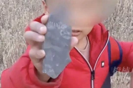 Chơi tìm kho báu, ai ngờ đụng trúng “báu vật Trời cho” 500 triệu năm