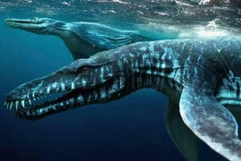 Top quái thú khổng lồ thời tiền sử dễ bị hiểu nhầm là khủng long