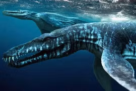 Top quái thú khổng lồ thời tiền sử dễ bị hiểu nhầm là khủng long