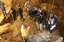 Phát hiện hóa thạch người 86.000 tuổi: Lịch sử phải viết lại? 