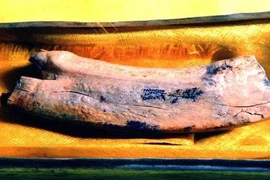 Lần theo mùi hương bí ẩn từ tháp cổ, phát hiện kho báu vô song