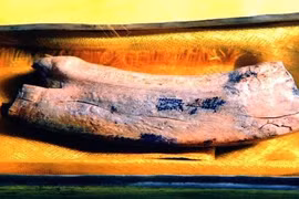 Lần theo mùi hương bí ẩn từ tháp cổ, phát hiện kho báu vô song