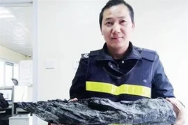 Đào được khúc gỗ lạ, chuyên gia nhận định “bảo vật” khó kiếm