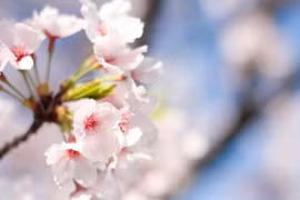 Sinh vào 6 ngày Âm lịch này, năm 2023 có quý nhân nâng đỡ