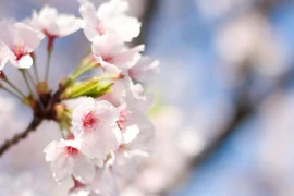 Sinh vào 6 ngày Âm lịch này, năm 2023 có quý nhân nâng đỡ