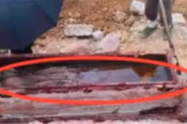 Vén màn che hài cốt trong cổ mộ, chuyên gia phán: "Chạy ngay đi!" 