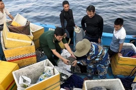 Dùng công nghệ nào để thăm dò tàu cổ đắm ở Quảng Ngãi?