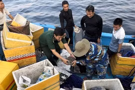 Dùng công nghệ nào để thăm dò tàu cổ đắm ở Quảng Ngãi?