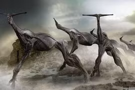 Chấn động sinh vật 8m xuất hiện trong rừng: Là người ngoài hành tinh?