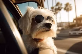 Mắt trái của phụ nữ giật có phải là điềm lành không? 