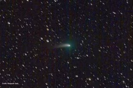 Sau 50.000 năm, "bạn của loài người tuyệt chủng” bất ngờ lộ diện 