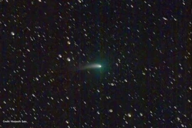 Sau 50.000 năm, "bạn của loài người tuyệt chủng” bất ngờ lộ diện 