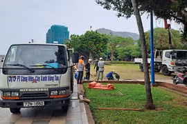 BR - VT: Cận cảnh gói thầu trang trí Hoa viên Quang Trung đón xuân 2025