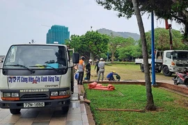 BR - VT: Cận cảnh gói thầu trang trí Hoa viên Quang Trung đón xuân 2025