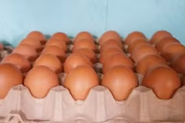 Trứng gà 'rẻ chưa từng có' giá chỉ từ 1.500 đồng/quả