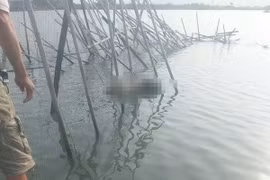 Bà Rịa - Vũng Tàu: Phát hiện thi thể nam giới trôi trên sông Cây Khế