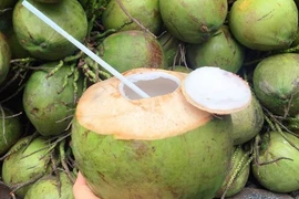 Dừa tươi tăng giá gấp đôi vì nắng nóng