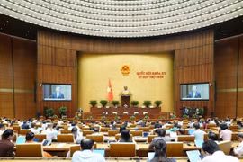 Sáng 9/5, Quốc hội thảo luận sửa đổi Luật Thuế tiêu thụ đặc biệt