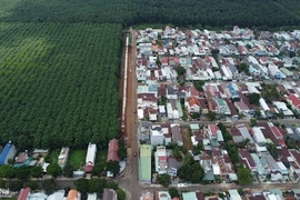 Thu hồi hơn 5 ngàn hécta đất của Công ty cao su Đồng Nai