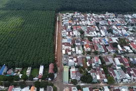 Thu hồi hơn 5 ngàn hécta đất của Công ty cao su Đồng Nai