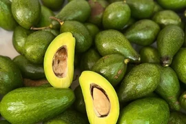 Bơ đầu mùa tăng giá gấp đôi