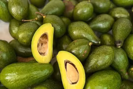 Bơ đầu mùa tăng giá gấp đôi