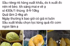 "Giải cứu sầu riêng' giá rẻ, thực hư thế nào?