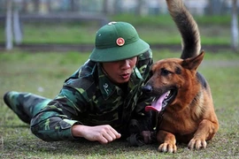 Chó nghiệp vụ được công an Việt Nam tuyển chọn, huấn luyện thế nào trước khi "ra trận"?