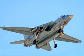 Tiêm kích Mỹ và Trung Quốc kết hợp tạo thành "xương sống" của Không quân Iran 