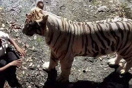 Rùng mình trước ảnh chụp ít phút trước khi thảm họa xảy ra