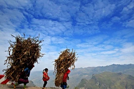 Mê đắm chốn "bồng lai tiên cảnh" trên đèo Mã Pì Lèng