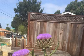 Kinh ngạc sự thật thú vị chưa từng tiết lộ về thế giới 