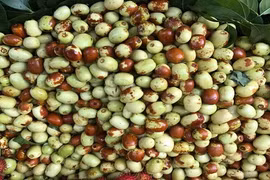 Khám phá loại quả Trung Quốc được đồn “chữa bách bệnh” 